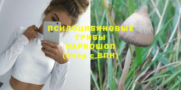a pvp Вязники