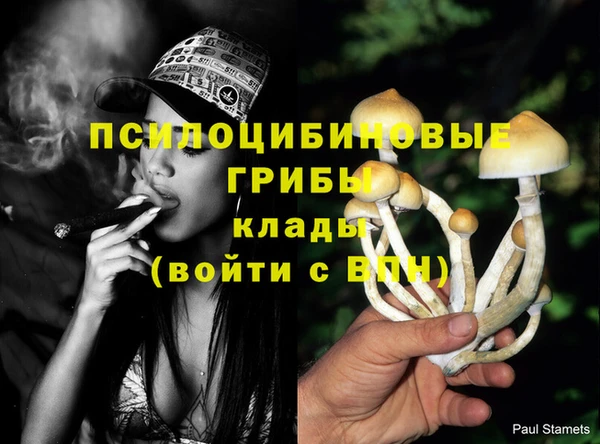 a pvp Вязники